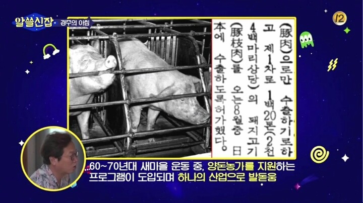 한국인들이 삼겹살 많이 먹는 이유 | 인스티즈