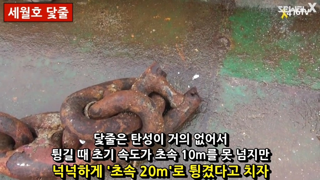 파파이스 닻 고의침몰설에 반박하는 자로 세월 X | 인스티즈