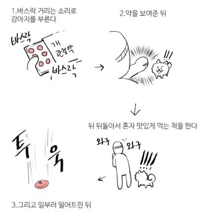 강아지 약먹이는 방법.jpg | 인스티즈