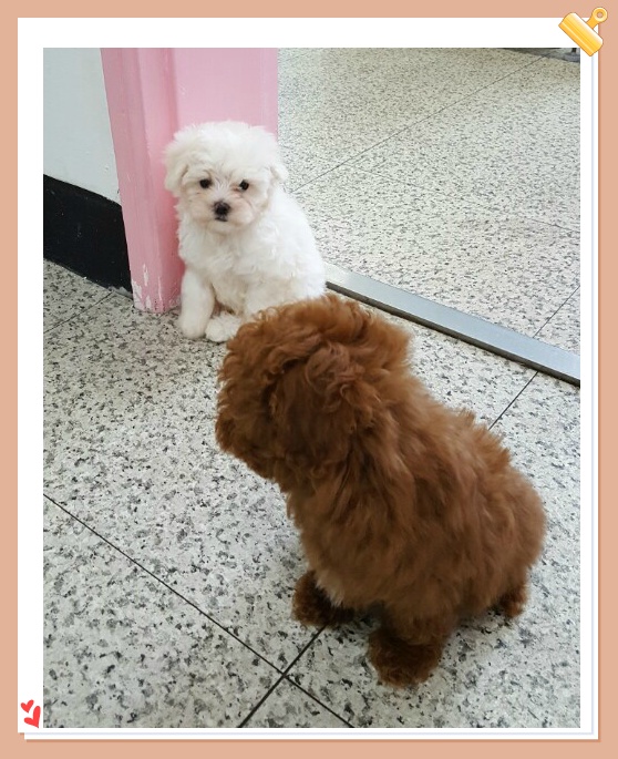 정화노인요양원 이미지