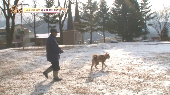 [동물농장] 수로 속에 갇힌 황구가 찾는 희망.JPG (감동주의) | 인스티즈