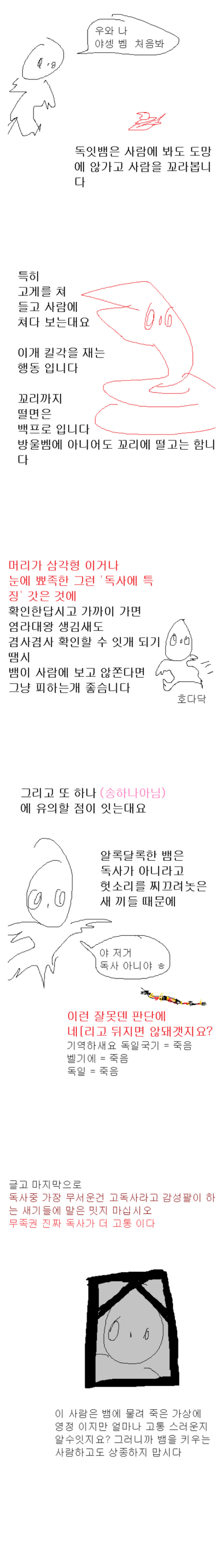 독사와 뱀 구별법 | 인스티즈