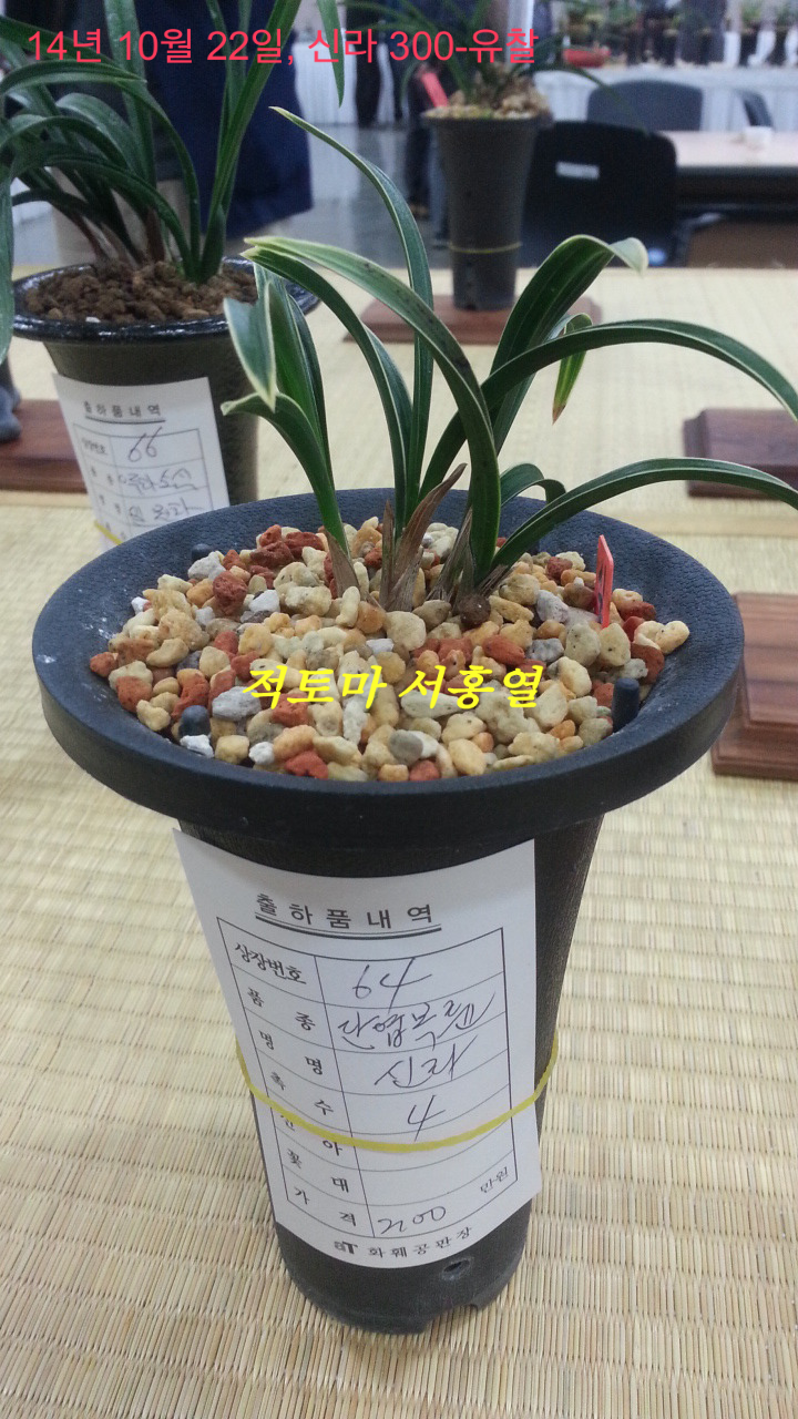 한국공판장 이미지