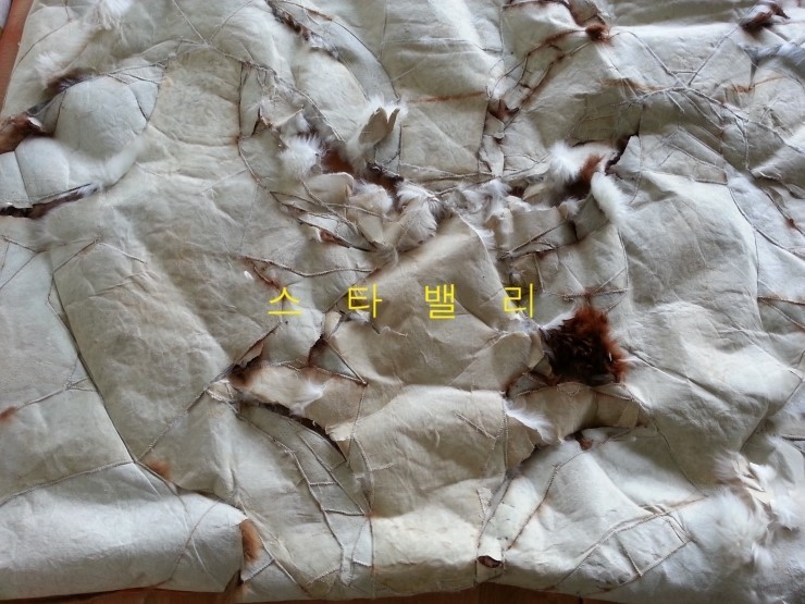 세탁수선 이미지
