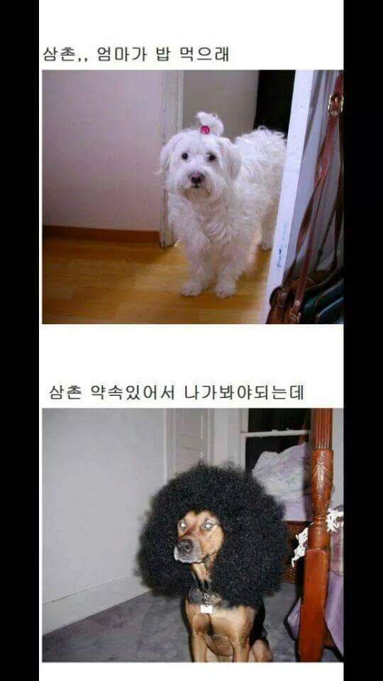 밥먹으래 | 인스티즈