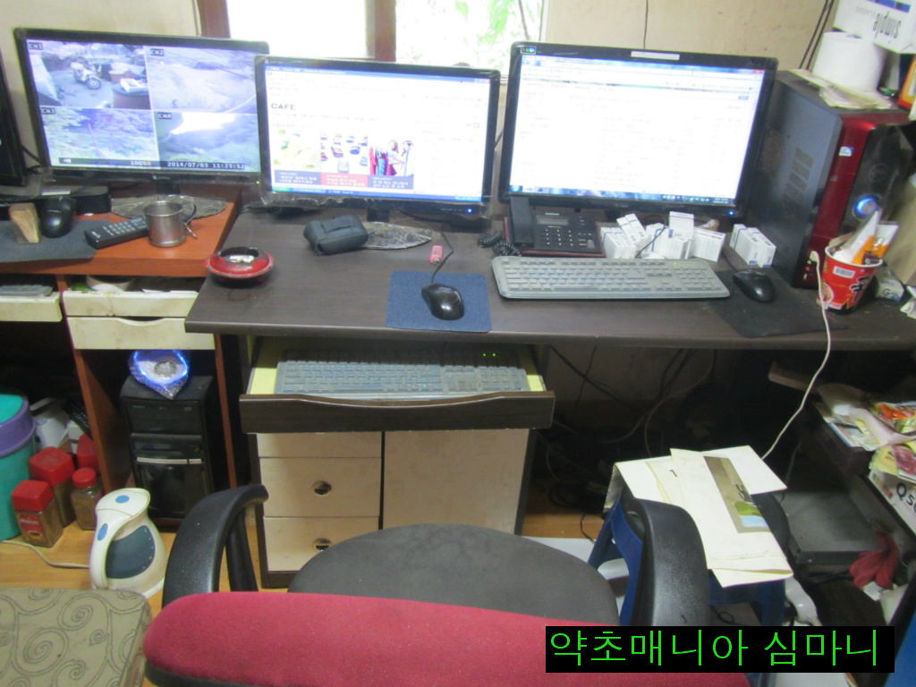 돼지우리 이미지