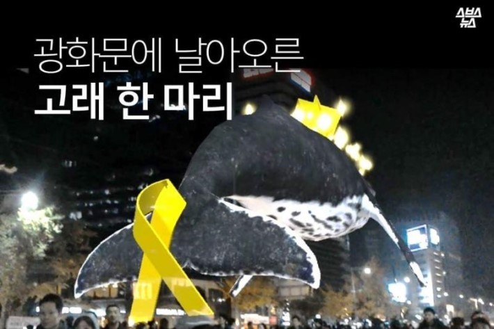 광화문에 날아오른 고래 한 마리... | 인스티즈
