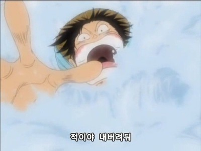 [원피스] 루피가 가장 신뢰하는 동료.jpg | 인스티즈