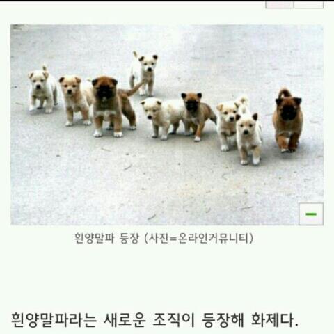 두둥 이미지