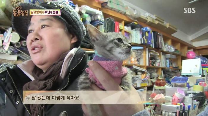 눈앞에서 제 아이가 맞아죽었습니다. 도와주세요 | 인스티즈