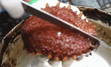 해삼 내장.gif (혐오주의) | 인스티즈
