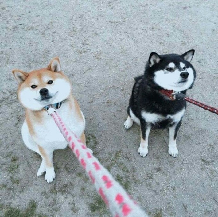 궁금 이미지