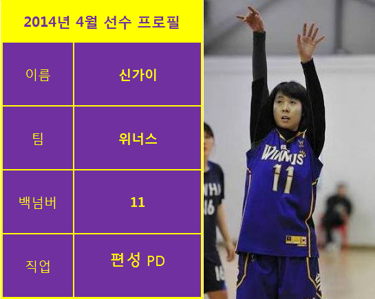 신가이 이미지
