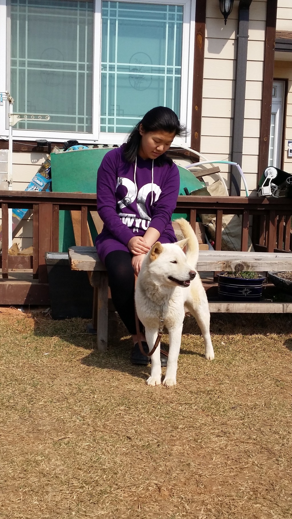 금란 이미지