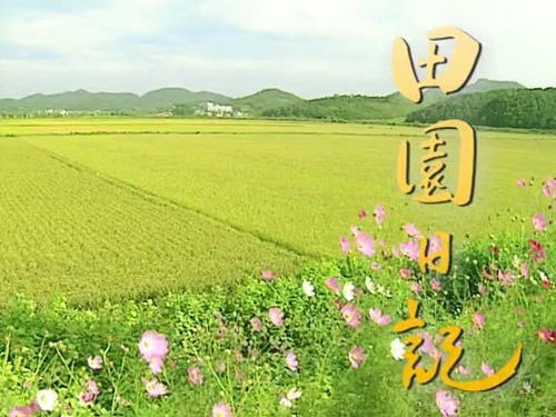  수도권이 아닌 지방에 산다고 무시하면 안되는 이유 | 인스티즈