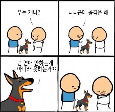 물지 않고 공격하는 개 | 인스티즈