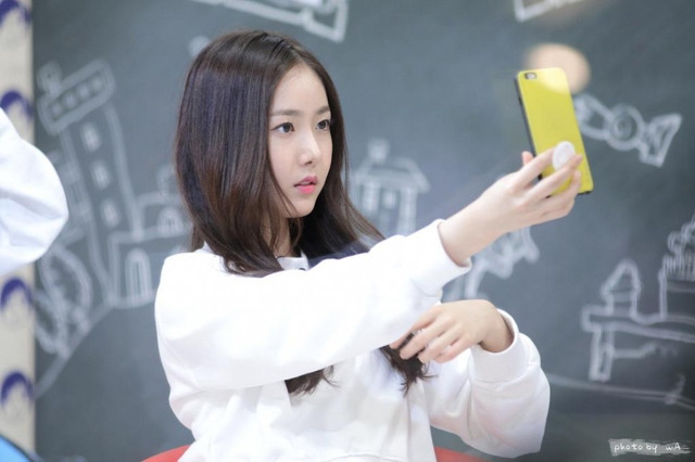 신비코 이미지