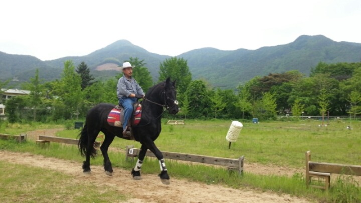 프리지안 이미지