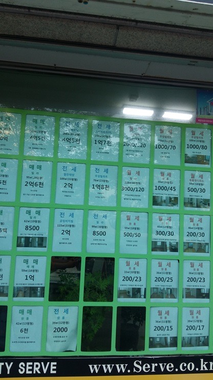 아재의 부산여행기 take4 [해운대달맞이고개송정해수욕장] 난 안경 쓴 샌님이니깐!!!! | 인스티즈