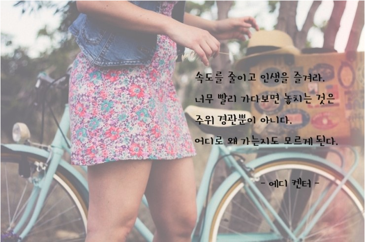 카피아 이미지