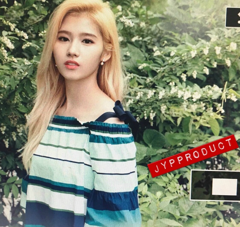 jyp가 직접 뿌린 트와이스 포토북 정연,모모,사나 프리뷰.jpg | 인스티즈