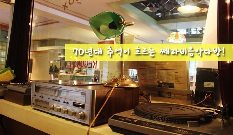 쎄라비 이미지