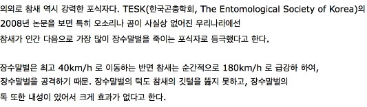 의외인 장수말벌의 천적 | 인스티즈