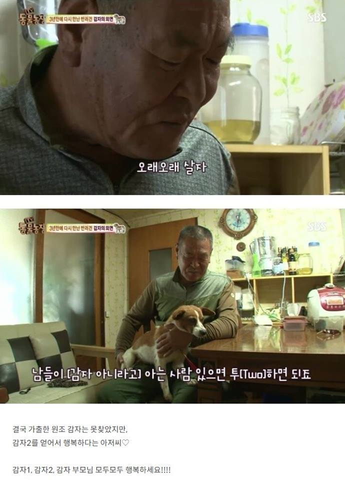 잃어버린 개를 3년만에 찾은 아저씨 | 인스티즈