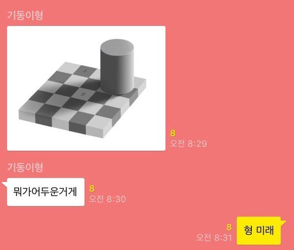 착시현상甲.jpg | 인스티즈