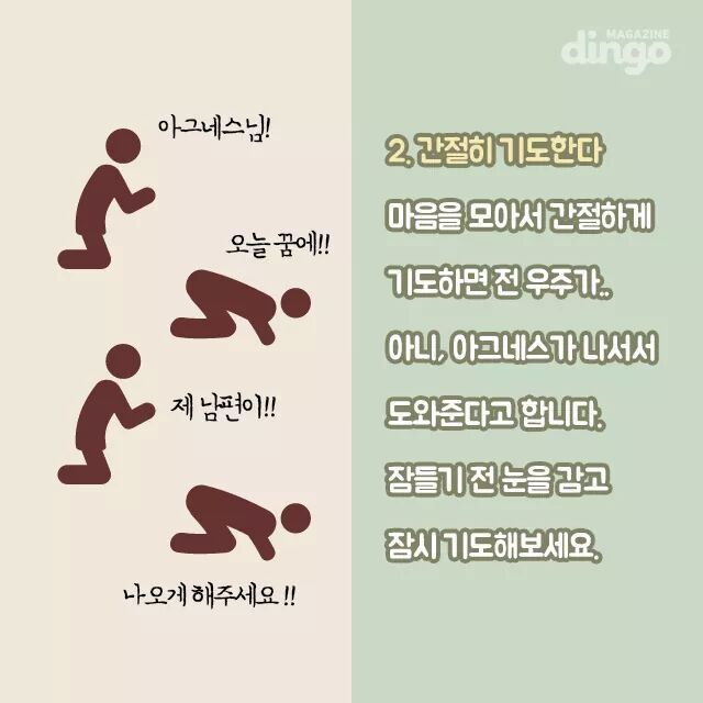 아그네스 이미지