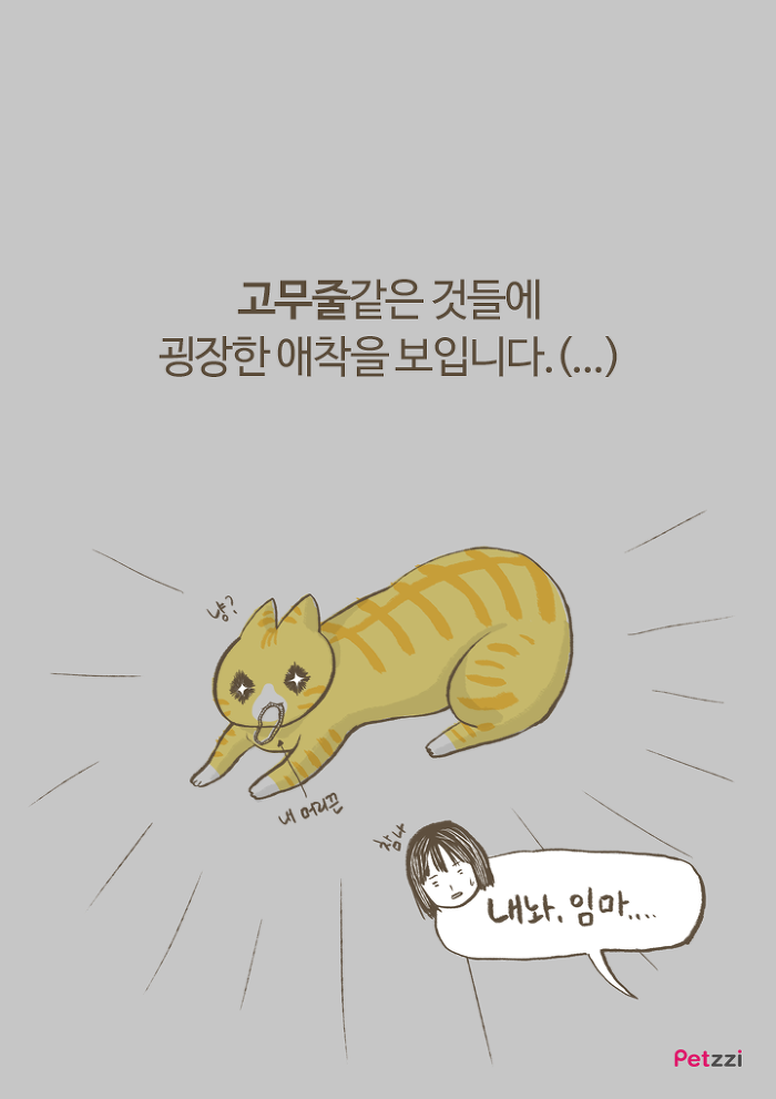 이해할 수 없는 고양이들의 취향.jpg | 인스티즈