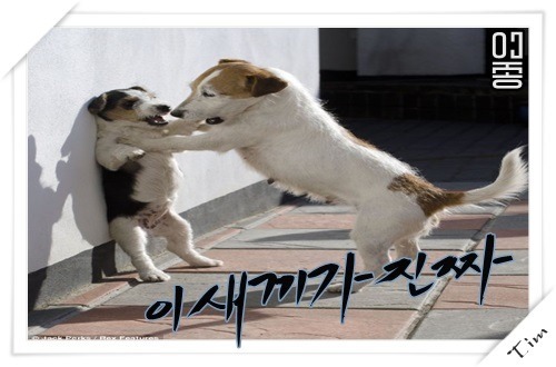 재봉틀의 원리.gif | 인스티즈