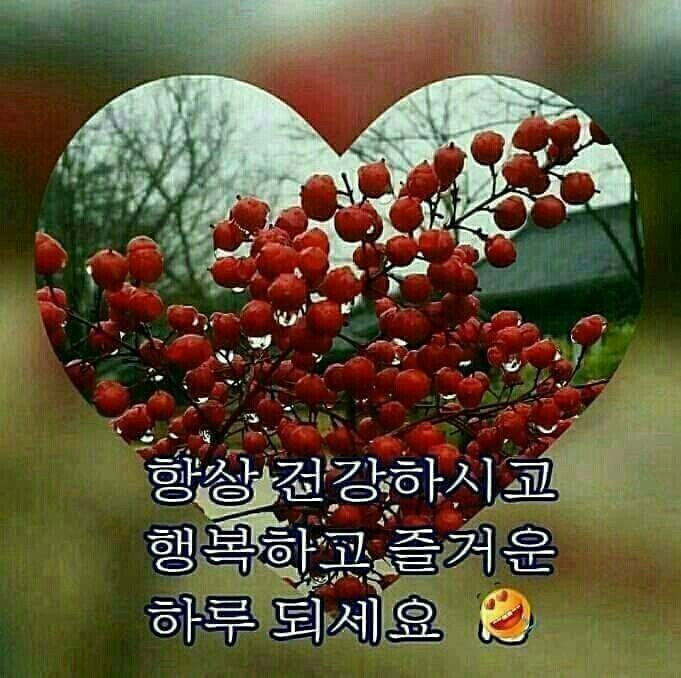 부부찐빵 이미지