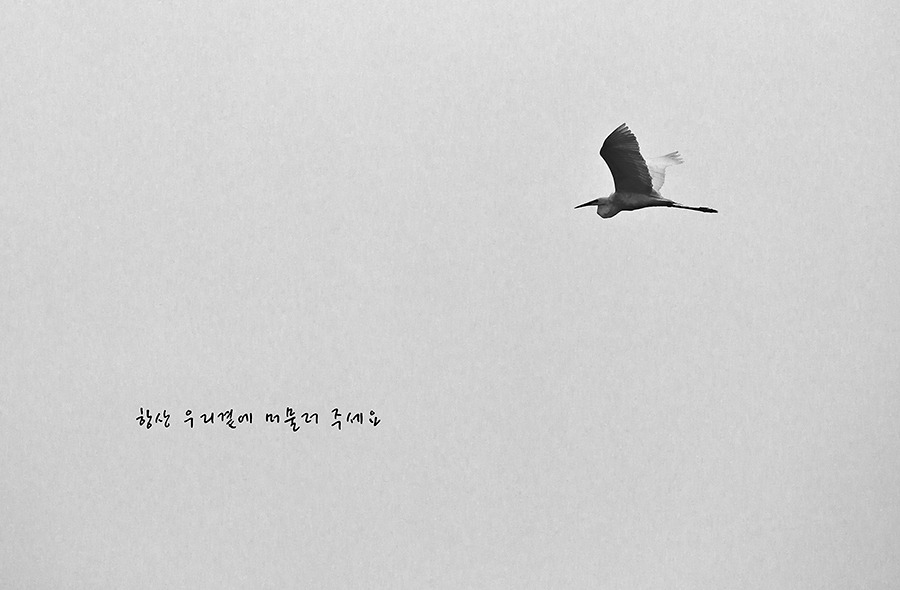 루미야 이미지