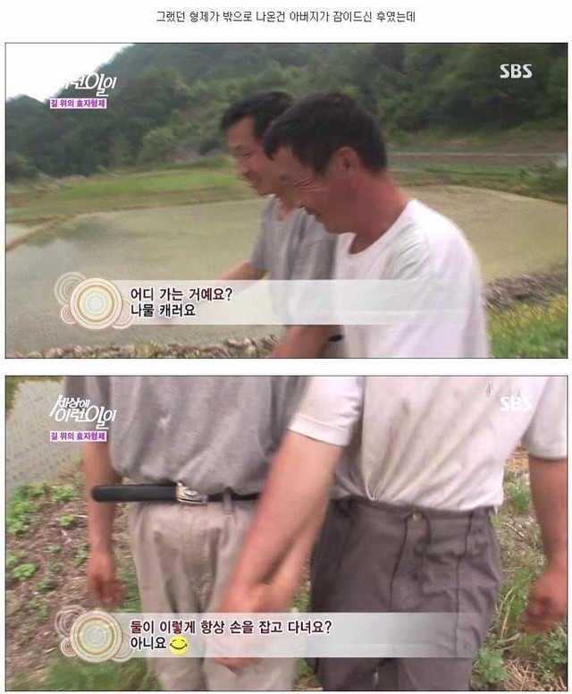 세상에 이런일이 - 길 위에 효자형제 (사이다형제) | 인스티즈