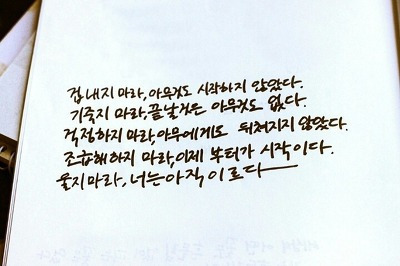 아빠정육점 이미지