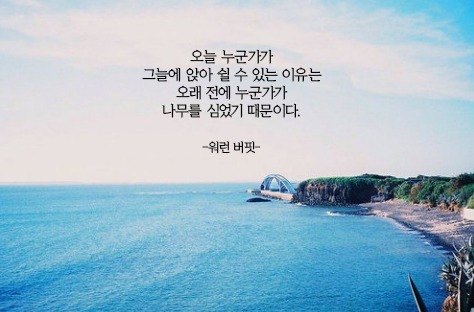 풀향 이미지