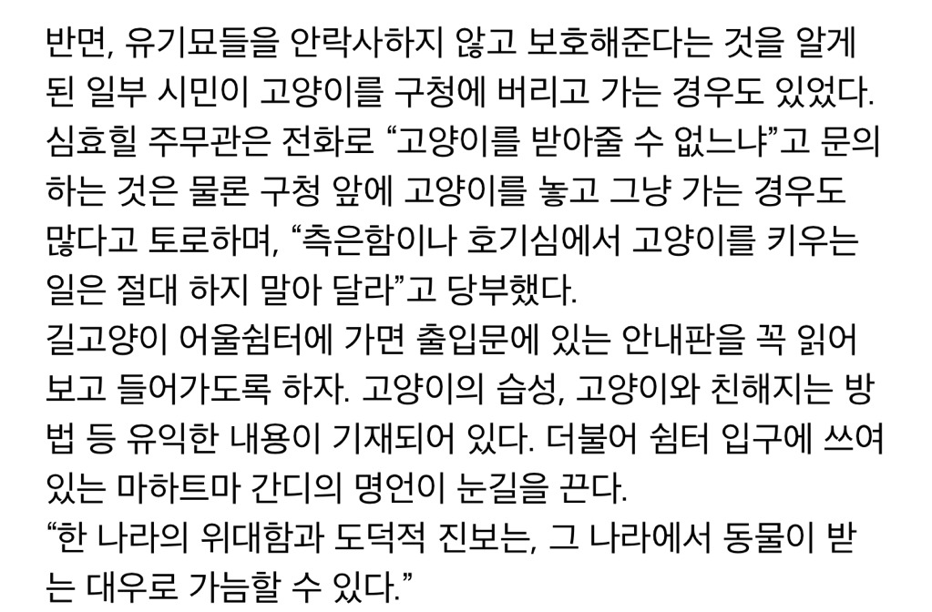 냥!! 한국 최초로(?) 고양이들을 위한 쉼터가 생겼다옹~ㅇㅅㅇ)/ .jpg | 인스티즈