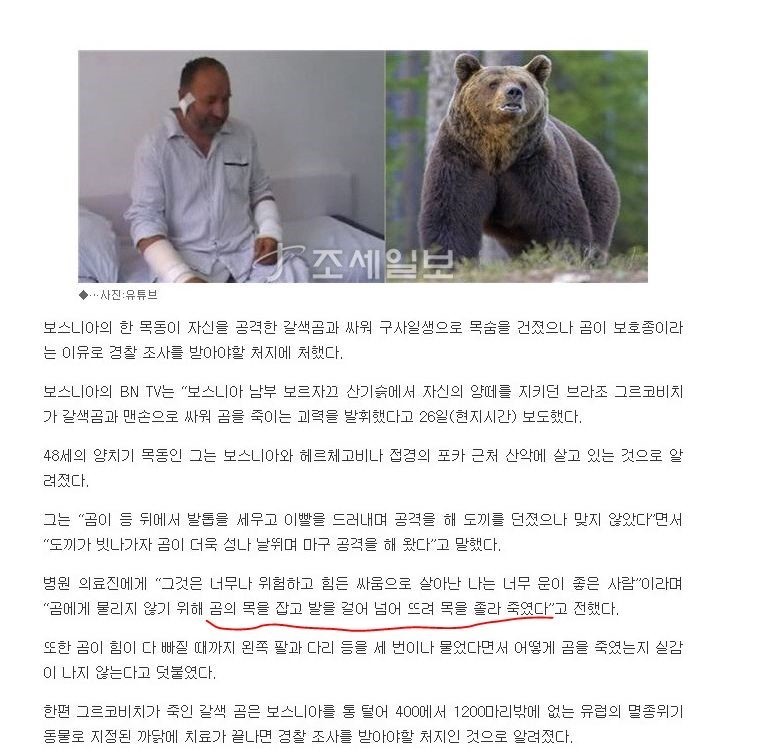 언제봐도 신기한 불곰국 | 인스티즈