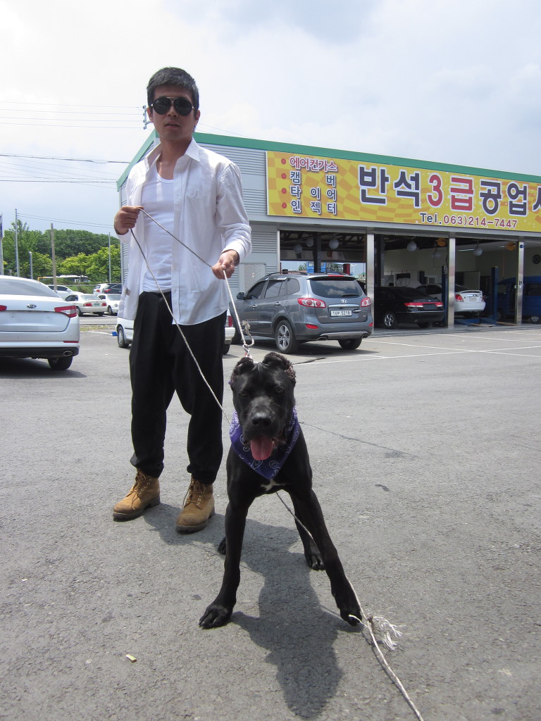 장군인테리어 이미지