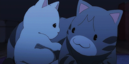 2D 고양이 | 인스티즈
