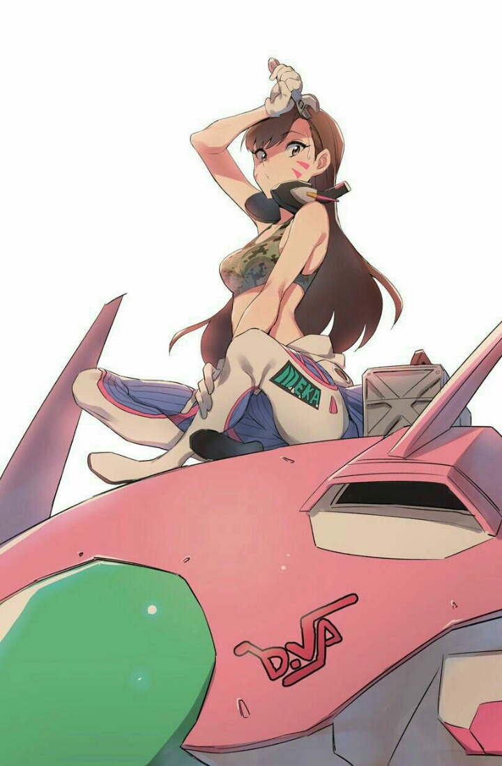 오버워치 D.VA 짤털이 | 인스티즈