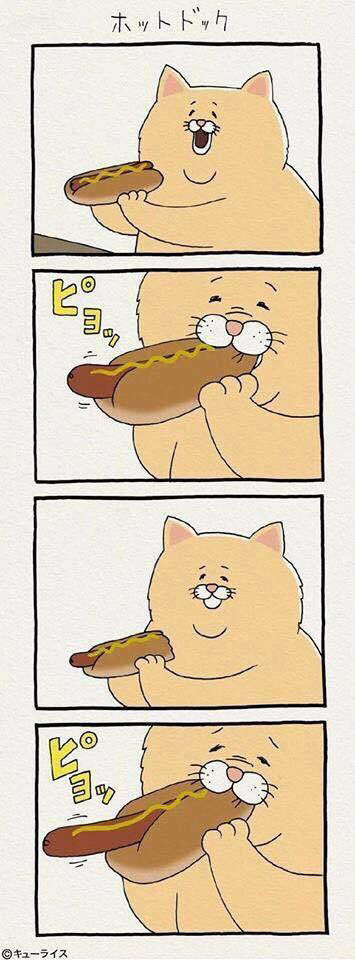 뭘 해도 안되는게 젤 귀여운 고양이 만화.twt | 인스티즈