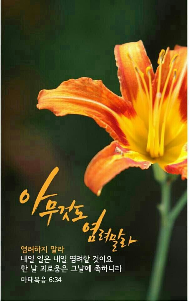 친구야술한잔하세 이미지