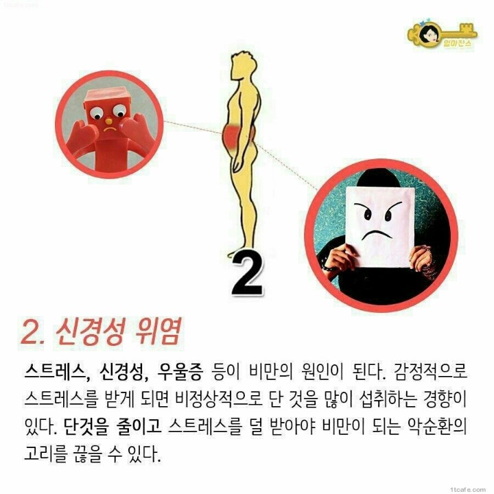 살이 찌는 부위 별 이유 | 인스티즈