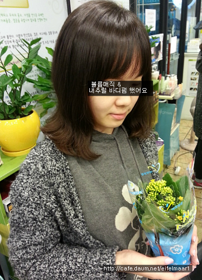 봄파마 이미지
