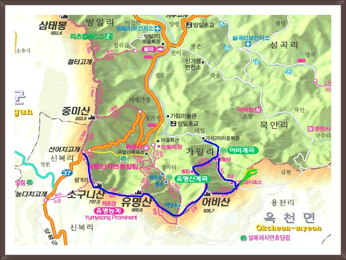 대일민박 이미지