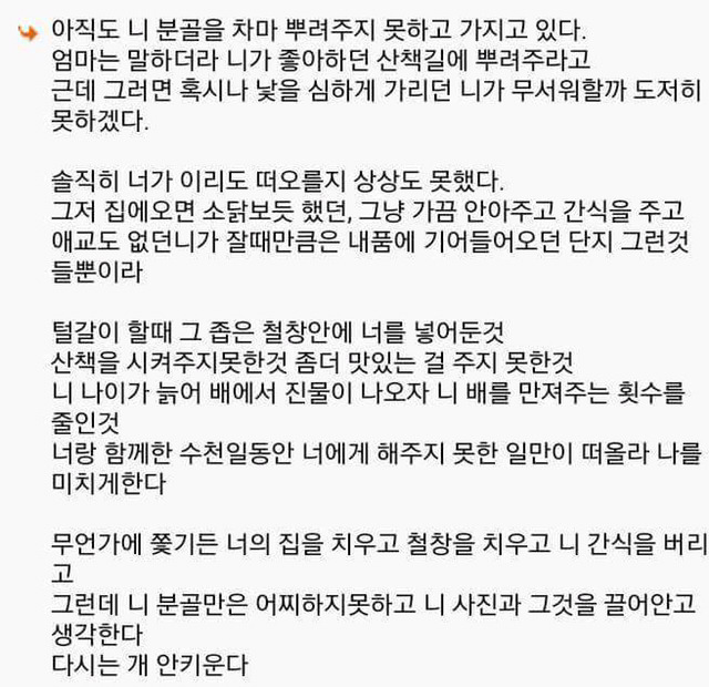 다시는 개 안 키운다 | 인스티즈