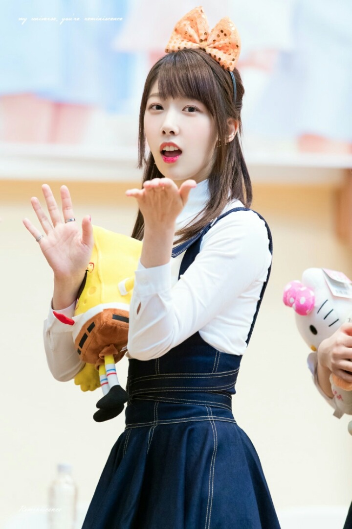 수연 이미지