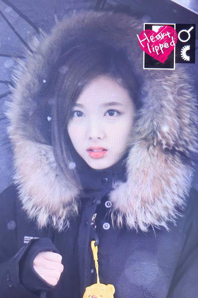오늘자 사나 나연 | 인스티즈